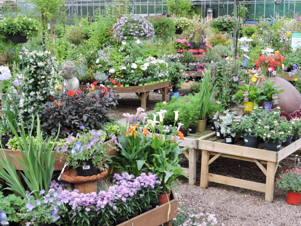 PLANTS FOR SALE AT EARLSWOOD GARDEN CENTRE GUERNSEY