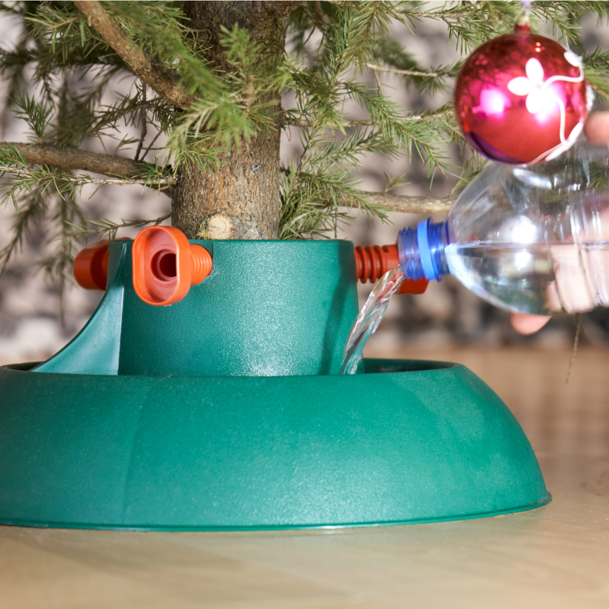 Real Christmas Tree Care Earlswood Garden Centre & Cafe Guernsey