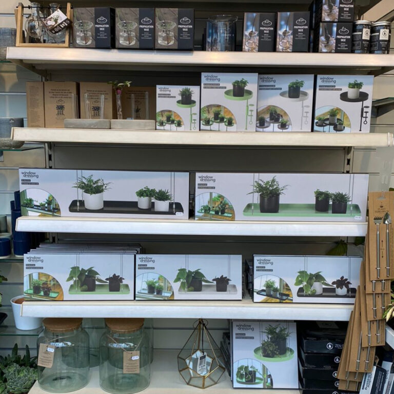 window dressing and terrarium accessories for houseplant display at earlswood guernsey
