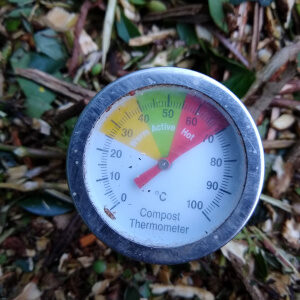 use a compost thermometer in your compost bin or compost heap so you know when it is active