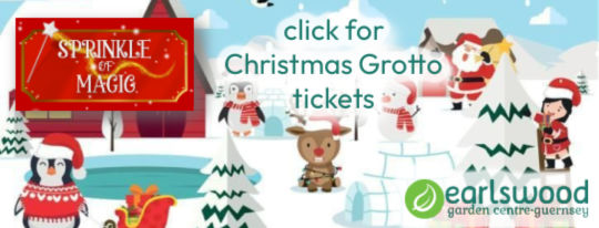 christmas grotto tickets at earlswood garden centre guernsey